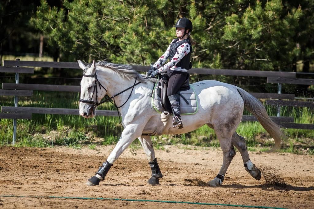 Виллы Nature Escape - Villa- Horses - Lake Plateliai Paplatelė-56