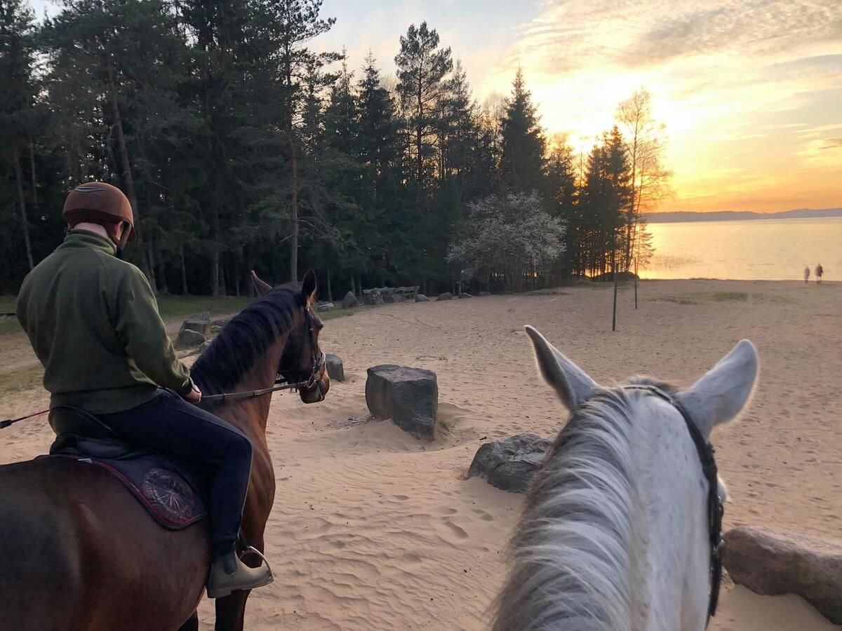 Виллы Nature Escape - Villa- Horses - Lake Plateliai Paplatelė